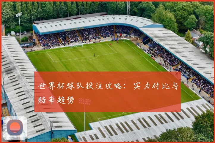 世界杯球队投注攻略：实力对比与赔率趋势
