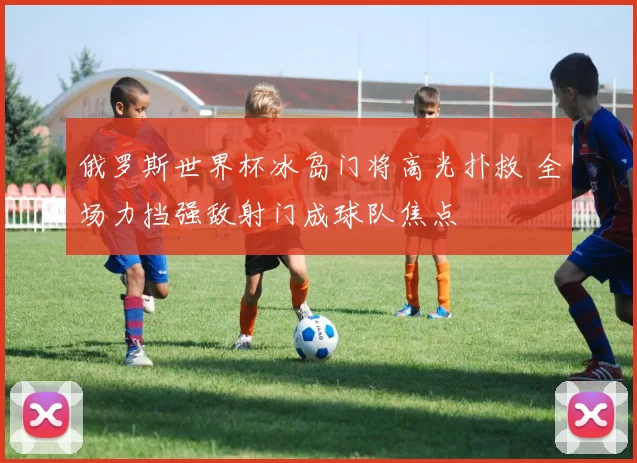 俄罗斯世界杯冰岛门将高光扑救 全场力挡强敌射门成球队焦点