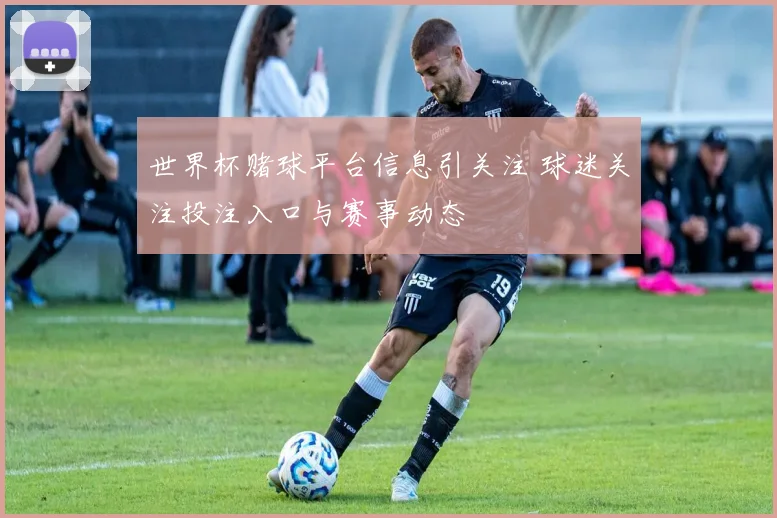 世界杯赌球平台信息引关注 球迷关注投注入口与赛事动态