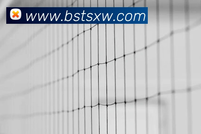 乐竞网络平台平台生态图